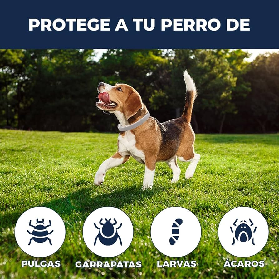 Pawsprotect® la solucion contra pulgas y garrapatas