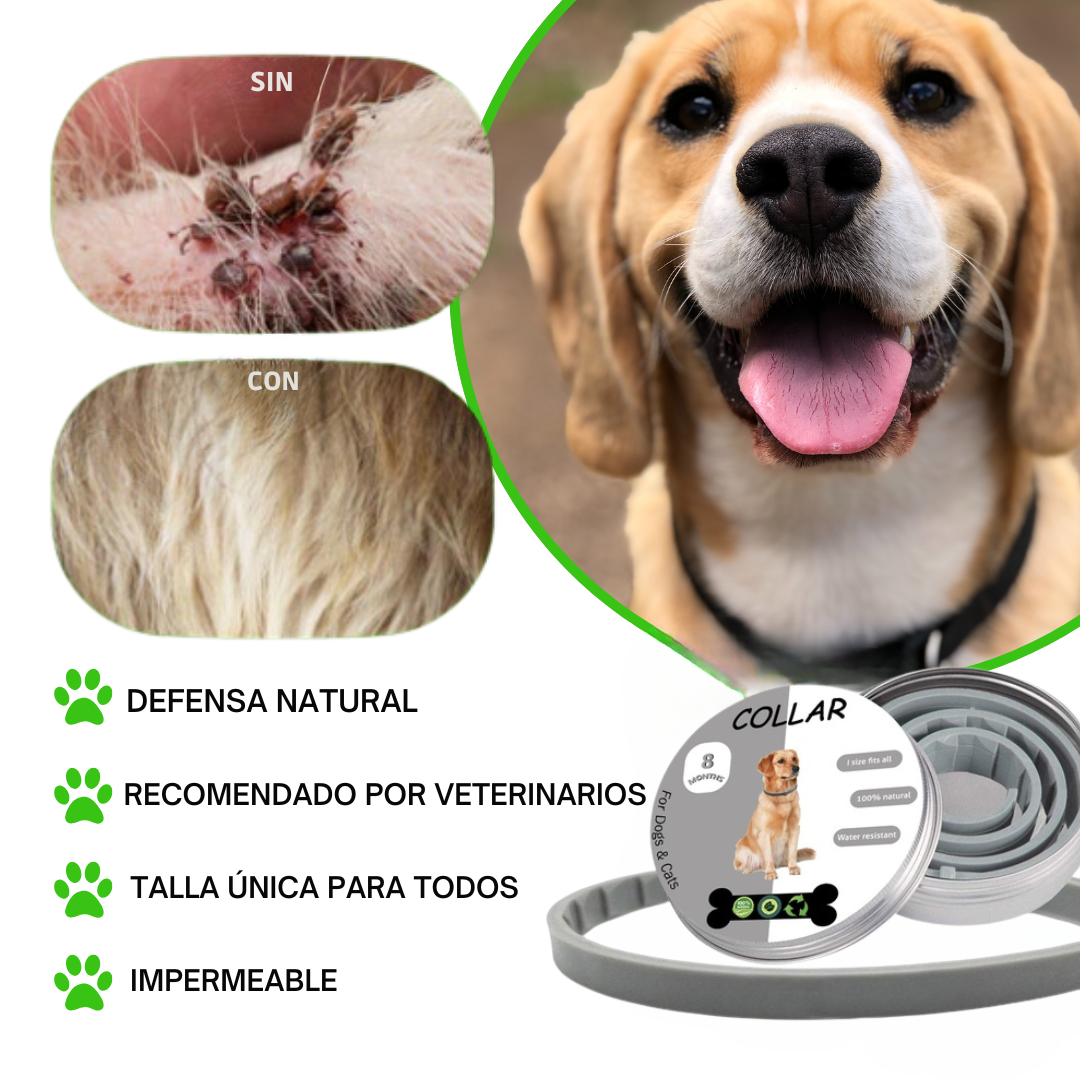 Pawsprotect® la solucion contra pulgas y garrapatas