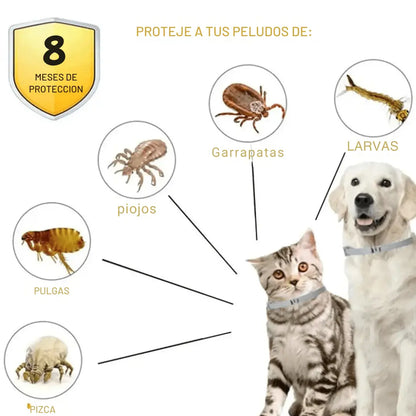 Pawsprotect® la solucion contra pulgas y garrapatas