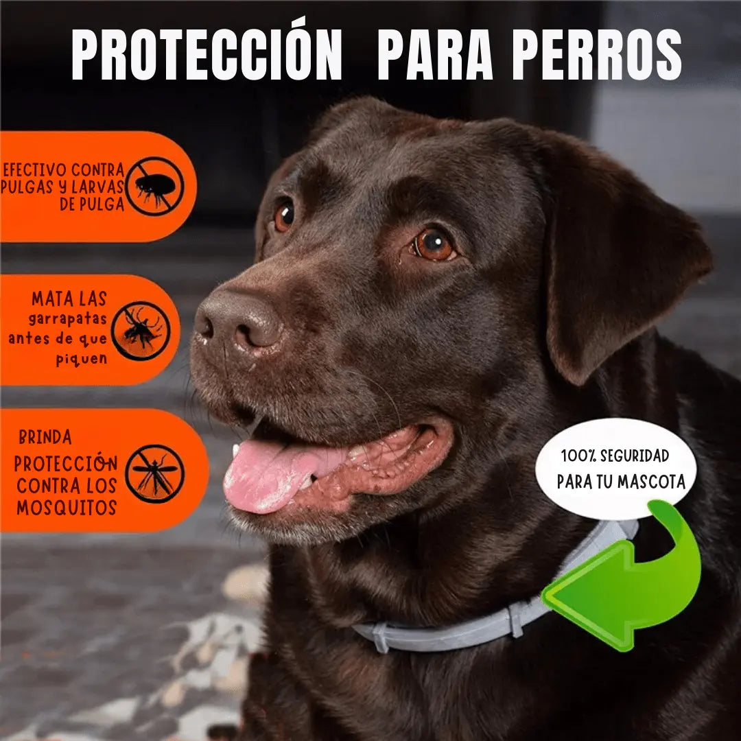 Pawsprotect® la solucion contra pulgas y garrapatas