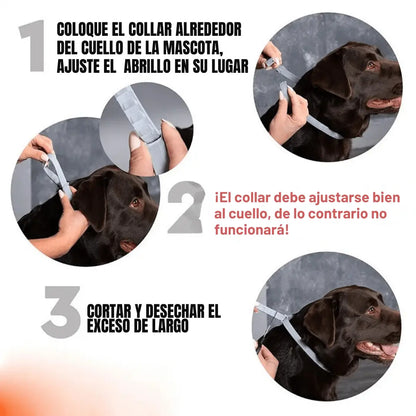 Pawsprotect® la solucion contra pulgas y garrapatas