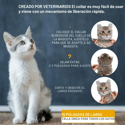 Pawsprotect® la solucion contra pulgas y garrapatas