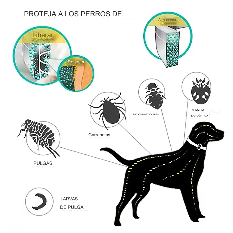 Pawsprotect® la solucion contra pulgas y garrapatas